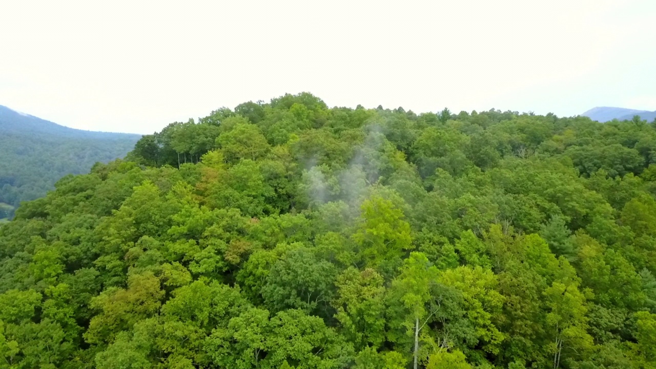 空中向前拍摄的烟雾从山上的绿色森林树木排放-阿什维尔，北卡罗来纳州视频素材