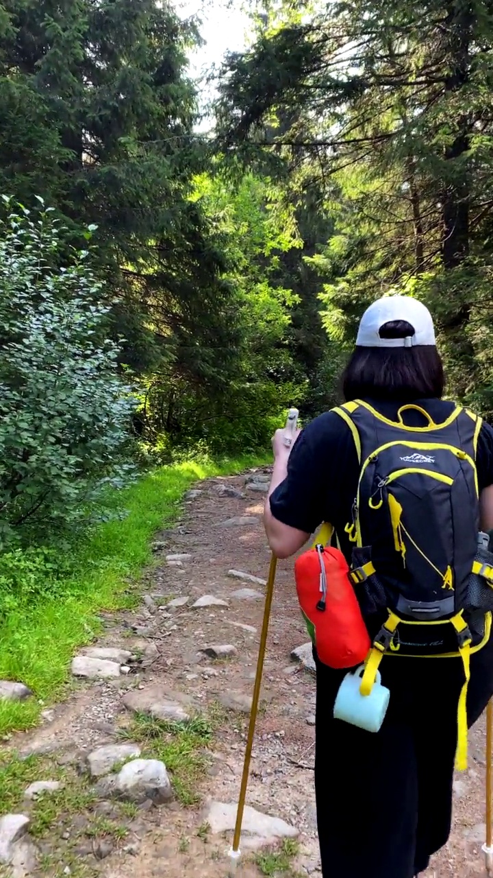 在喀尔巴阡山小径上背着背包的女子徒步旅行者视频素材