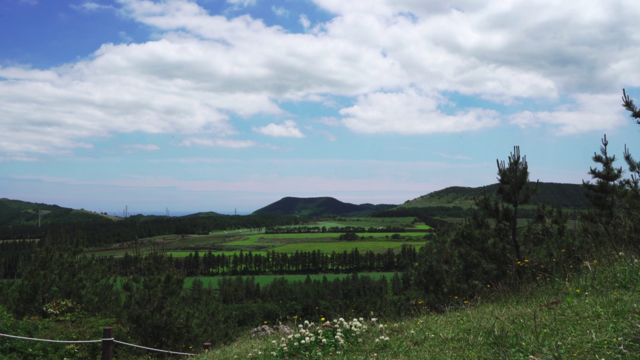 农田和寄生锥的风景/济州岛，韩国视频素材