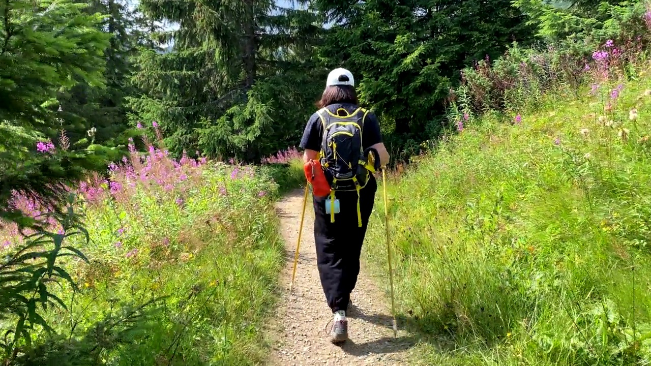 在喀尔巴阡山小径上背着背包的女子徒步旅行者视频素材