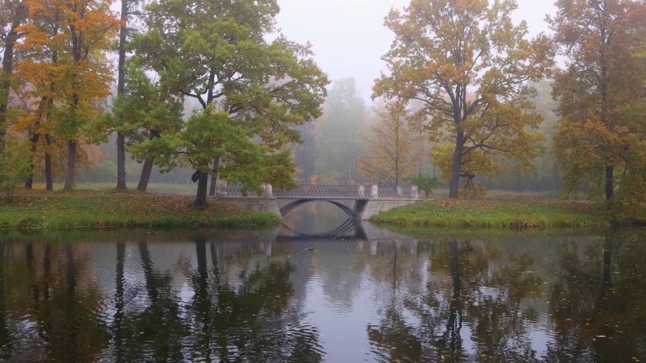 圣彼得堡公园。黄金autumn.Russia。视频下载