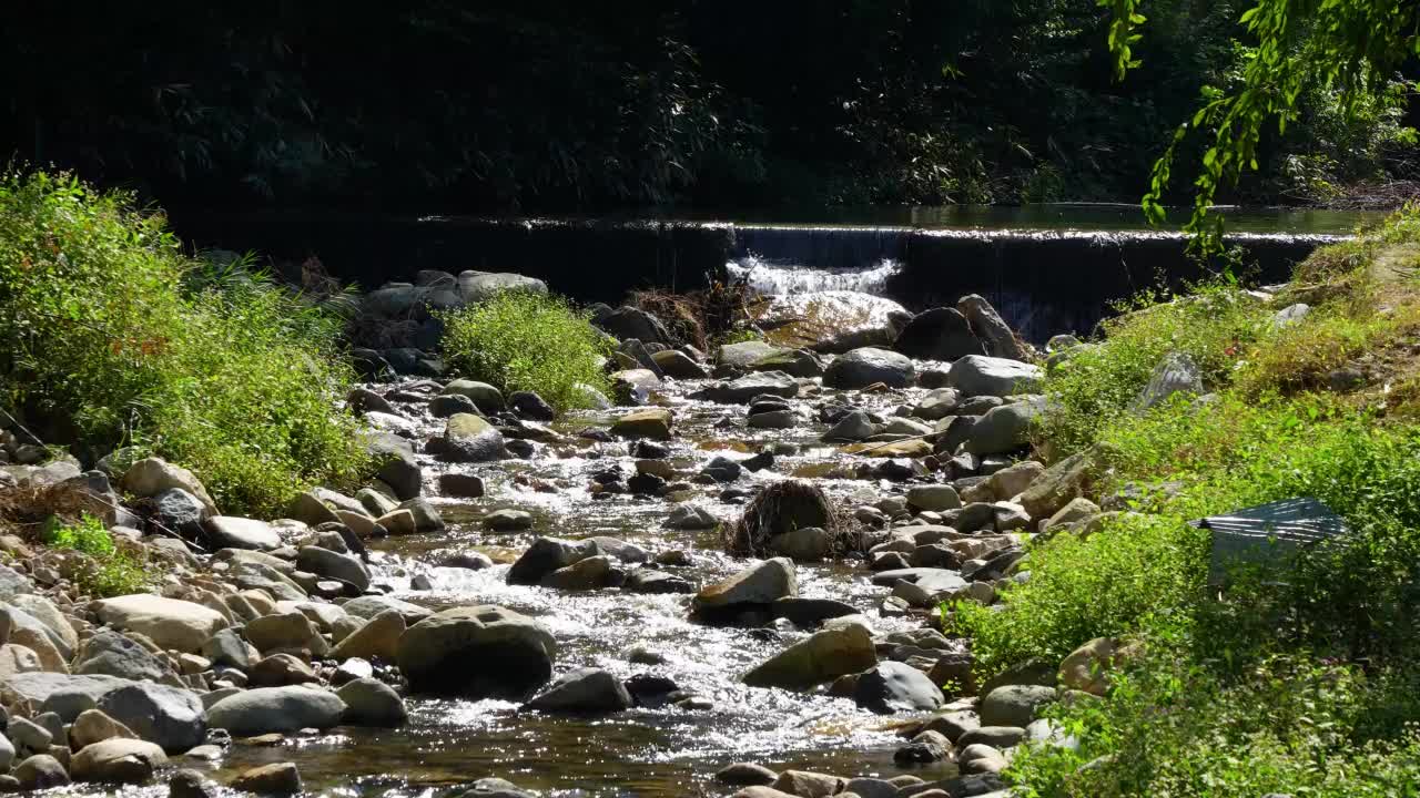 小河在山里流视频素材