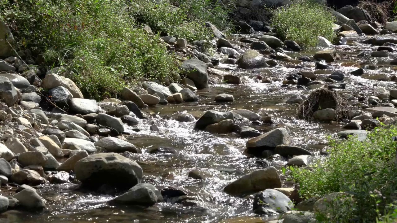 小河在山里流视频素材