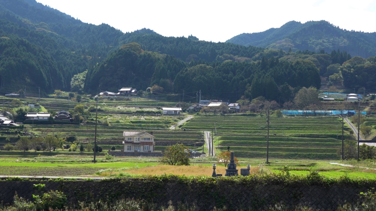 收割后的稻田视频素材