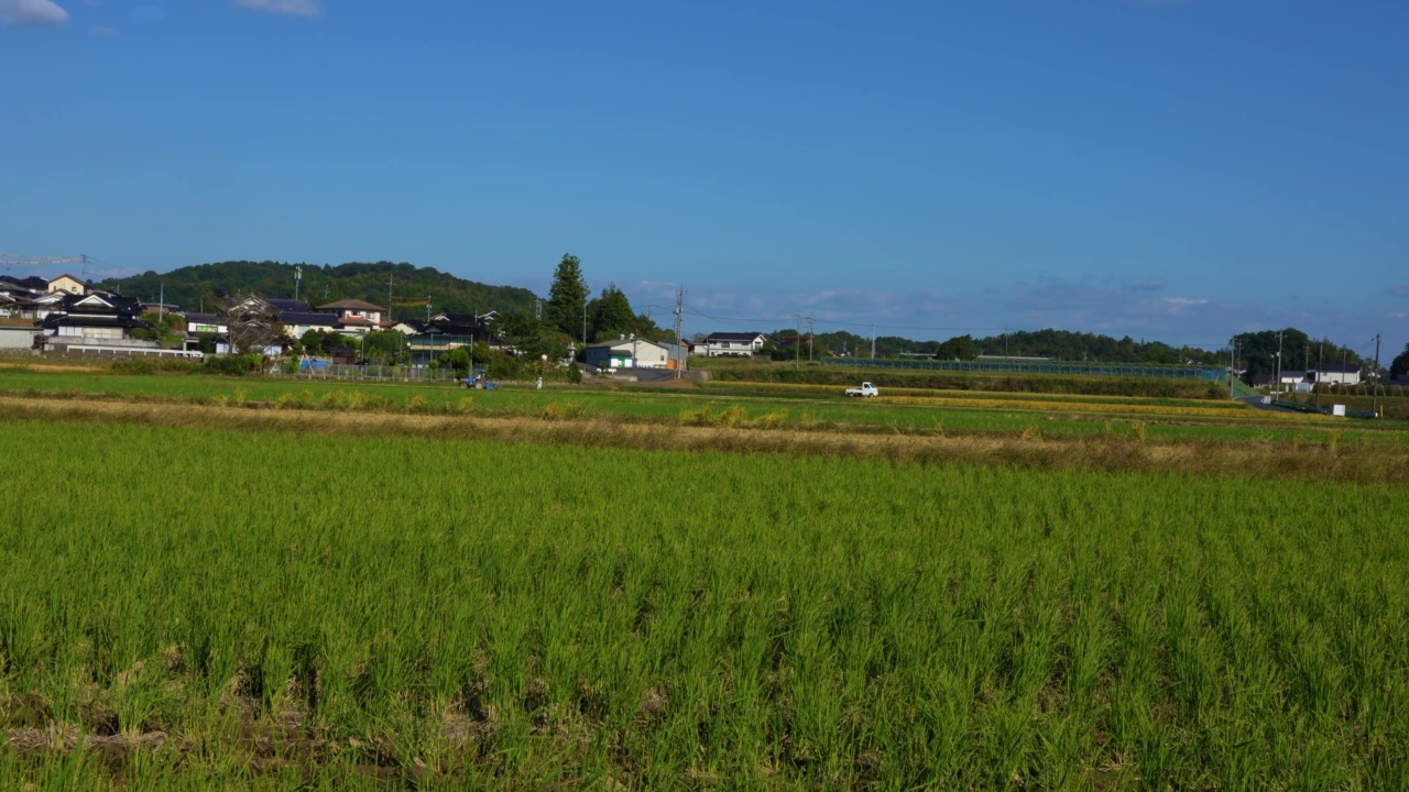 收割后的稻田视频素材