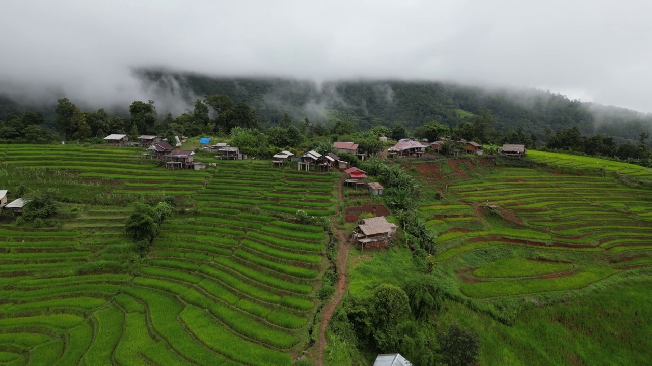 水厂视频素材