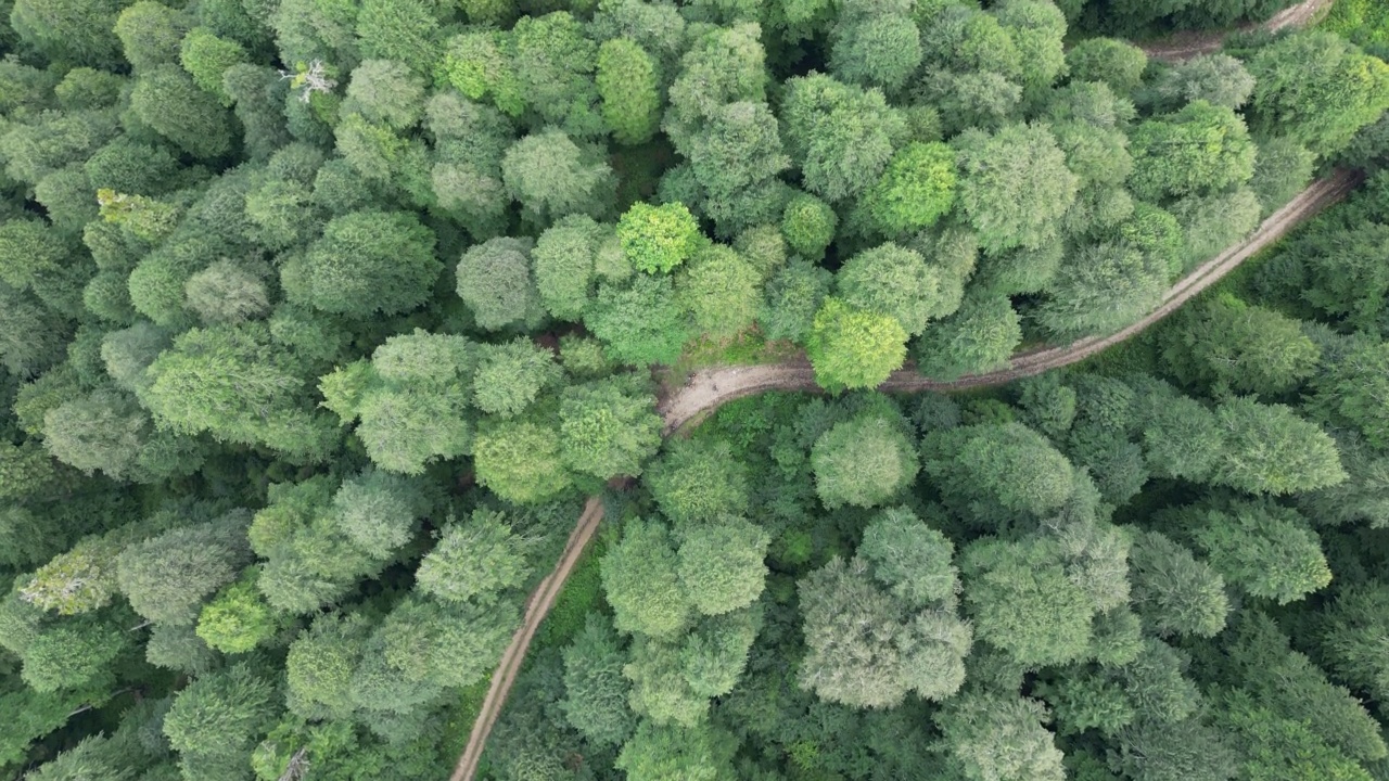 丛林和山脉的鸟瞰图，有一条未铺设的道路视频素材