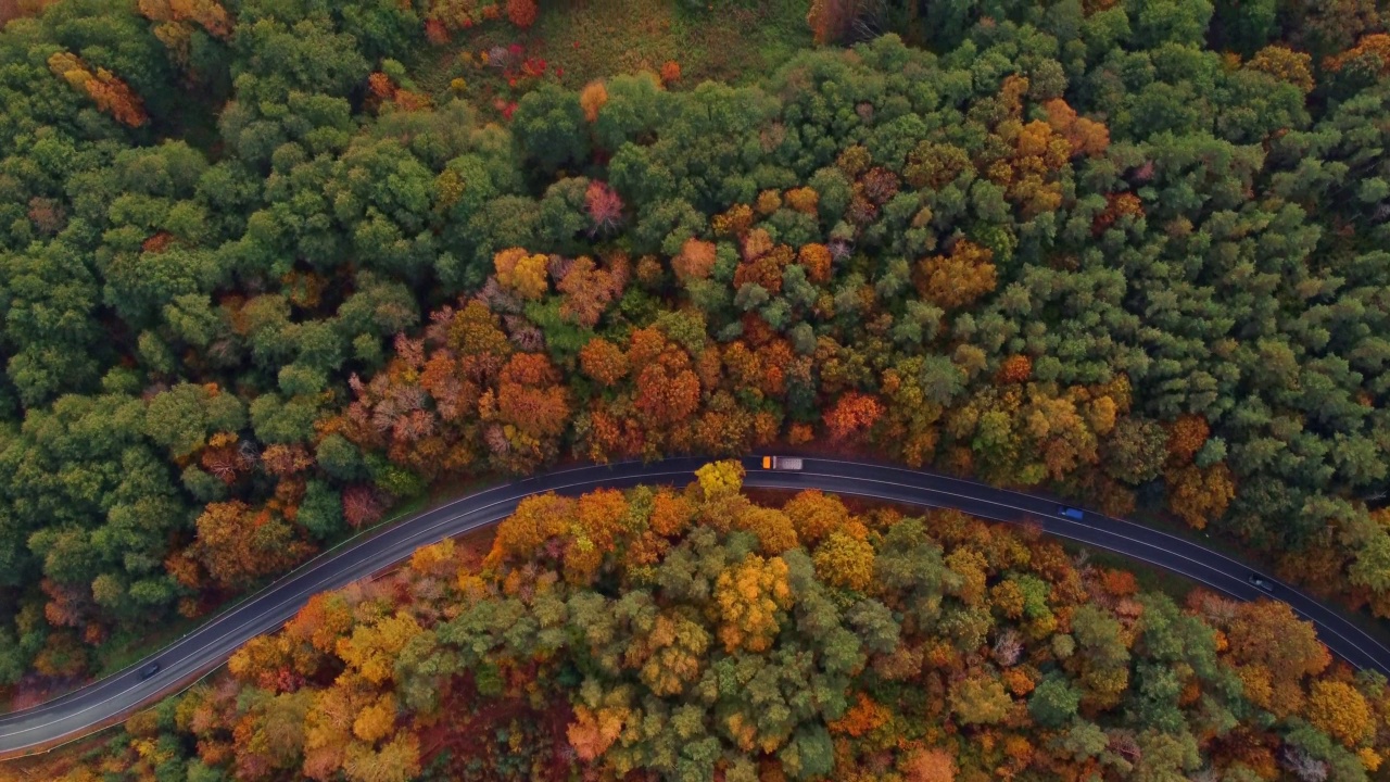 鸟瞰图，在美丽的秋天森林中，弯曲的道路上行驶着汽车，俯视图视频素材