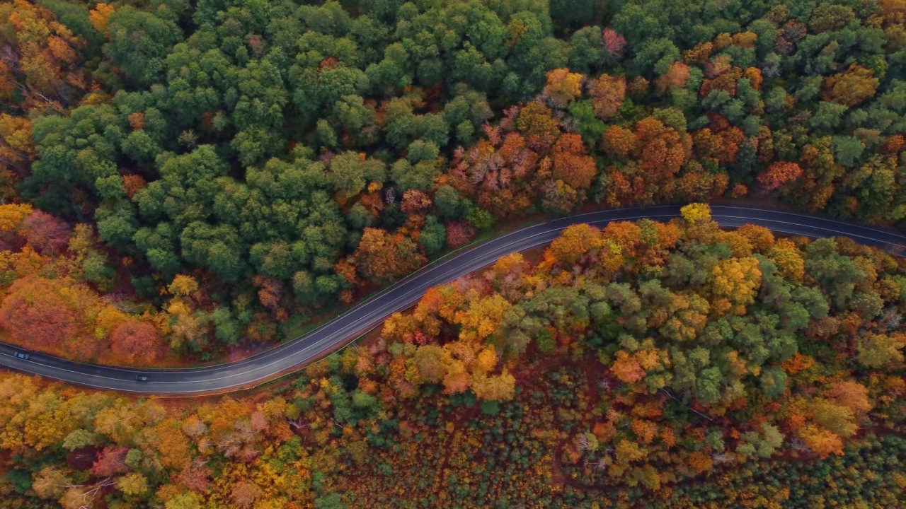 鸟瞰图，在美丽的秋天森林中，蜿蜒的道路上行驶着汽车，俯视图视频素材