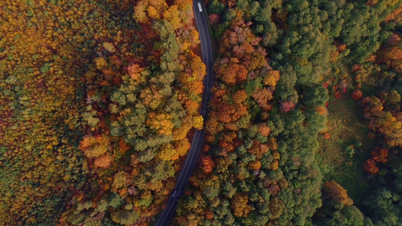 扭曲的4k镜头，鸟瞰弯曲的道路与汽车行驶在美丽的秋天森林，俯瞰视频素材