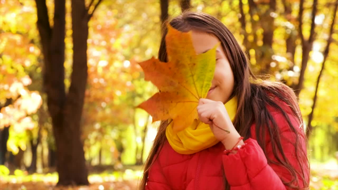 一个孩子在玩秋天的树叶。有选择性的重点。孩子。视频素材