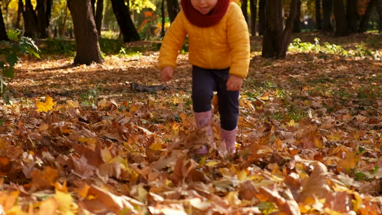 一个孩子走在秋天的黄叶。有选择性的重点。大自然。视频素材