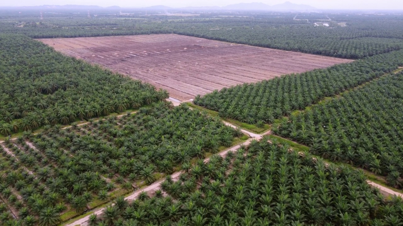 空中飞向干旱的耕地清晰视频素材