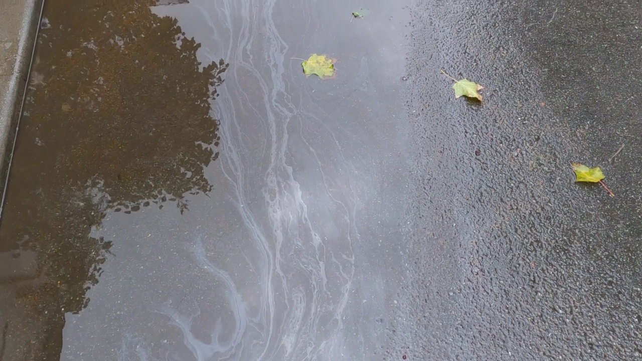 秋天沥青路面上的雨水水坑视频素材