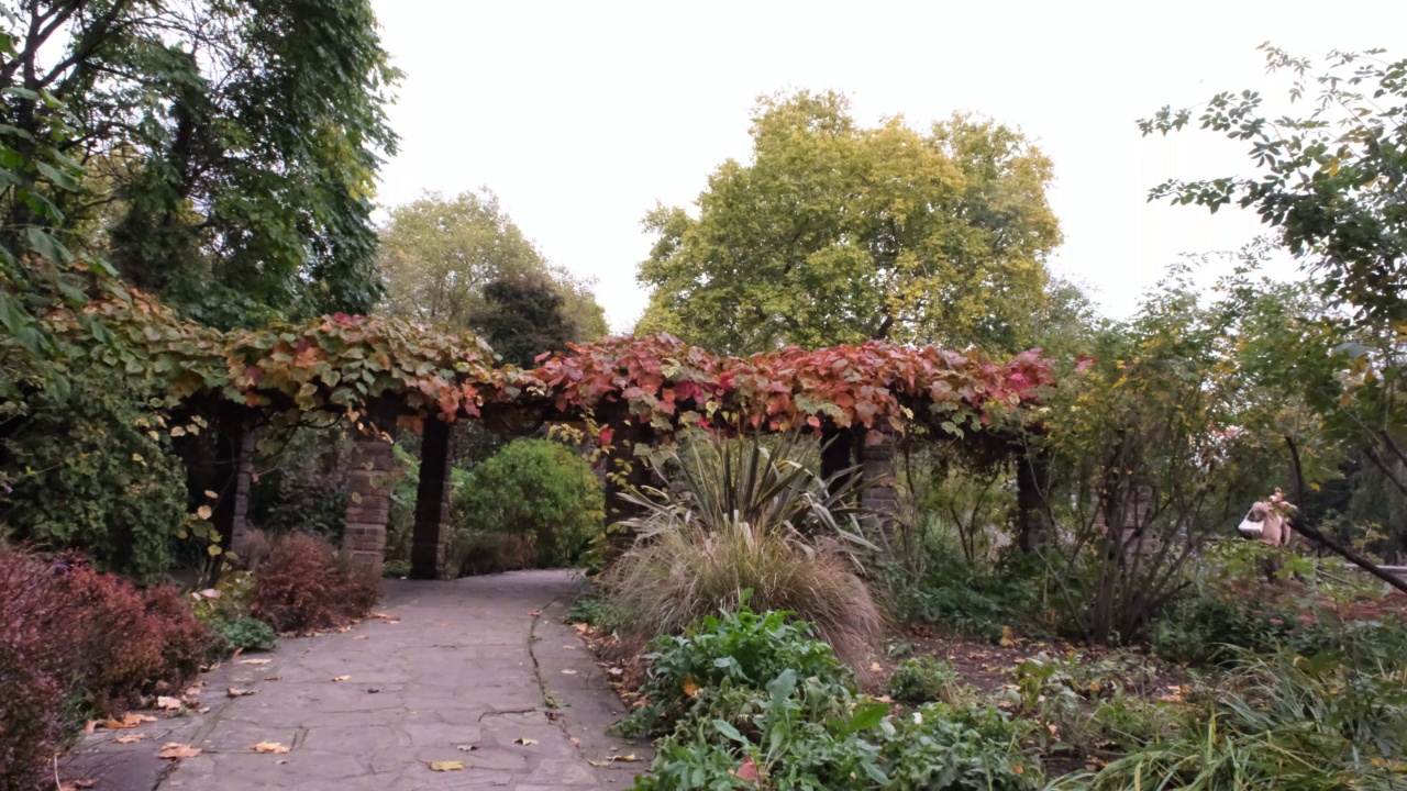 Bermondsey Southwark Park London。艾达·索尔特玫瑰园。秋天英国公园有拱门。视频下载