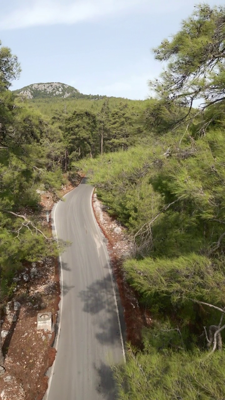 日出时从上到下穿过森林的道路视频素材