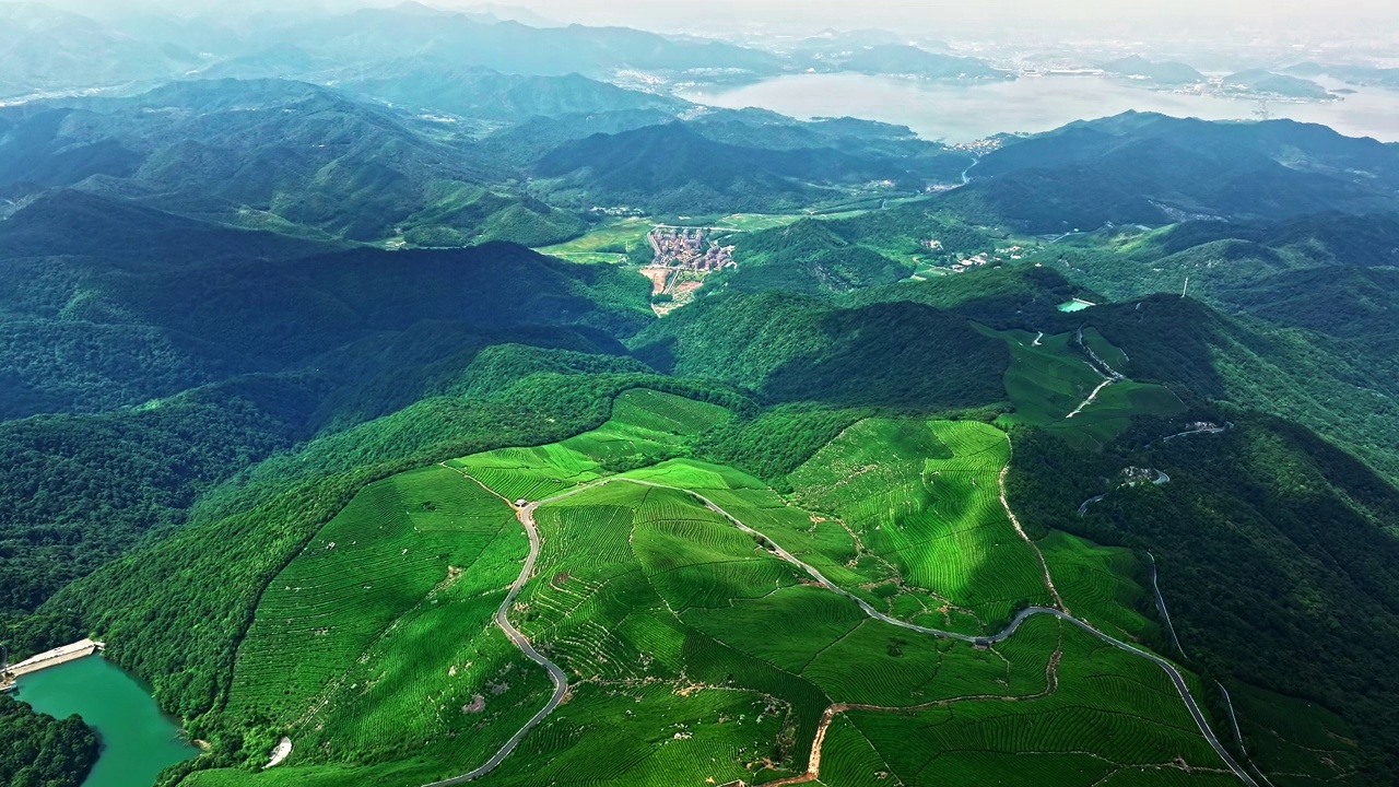 杭州绿茶种植园和山景鸟瞰图视频素材