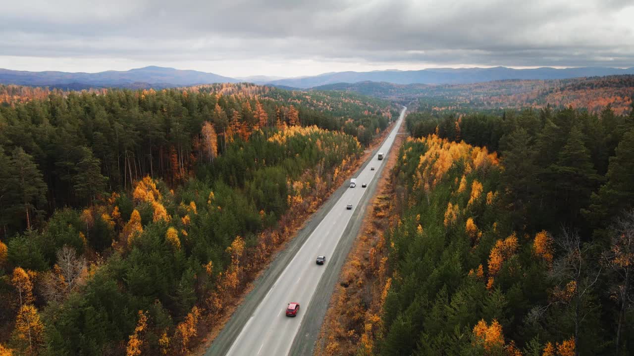 秋日山路。汽车在路上行驶。视频素材