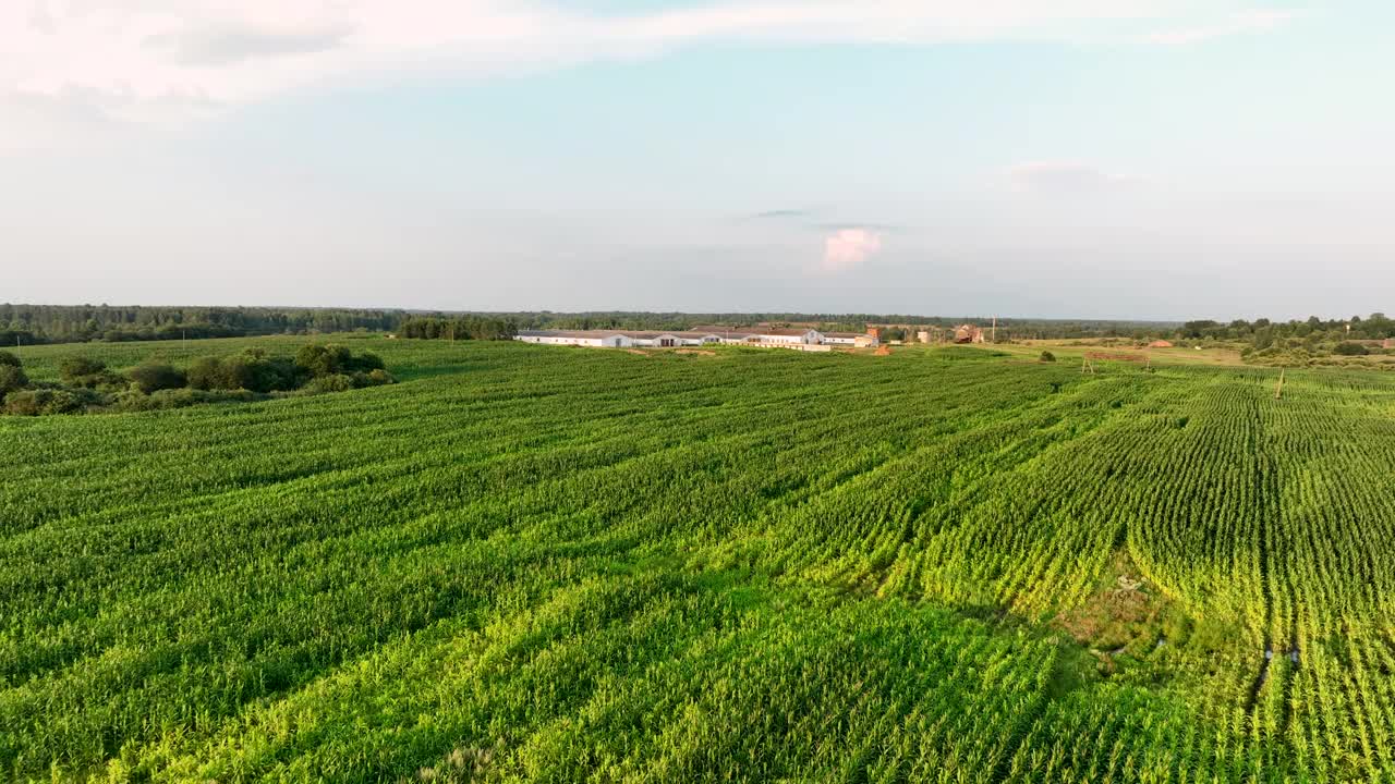 日落时分，农田里的农场建筑。视频素材