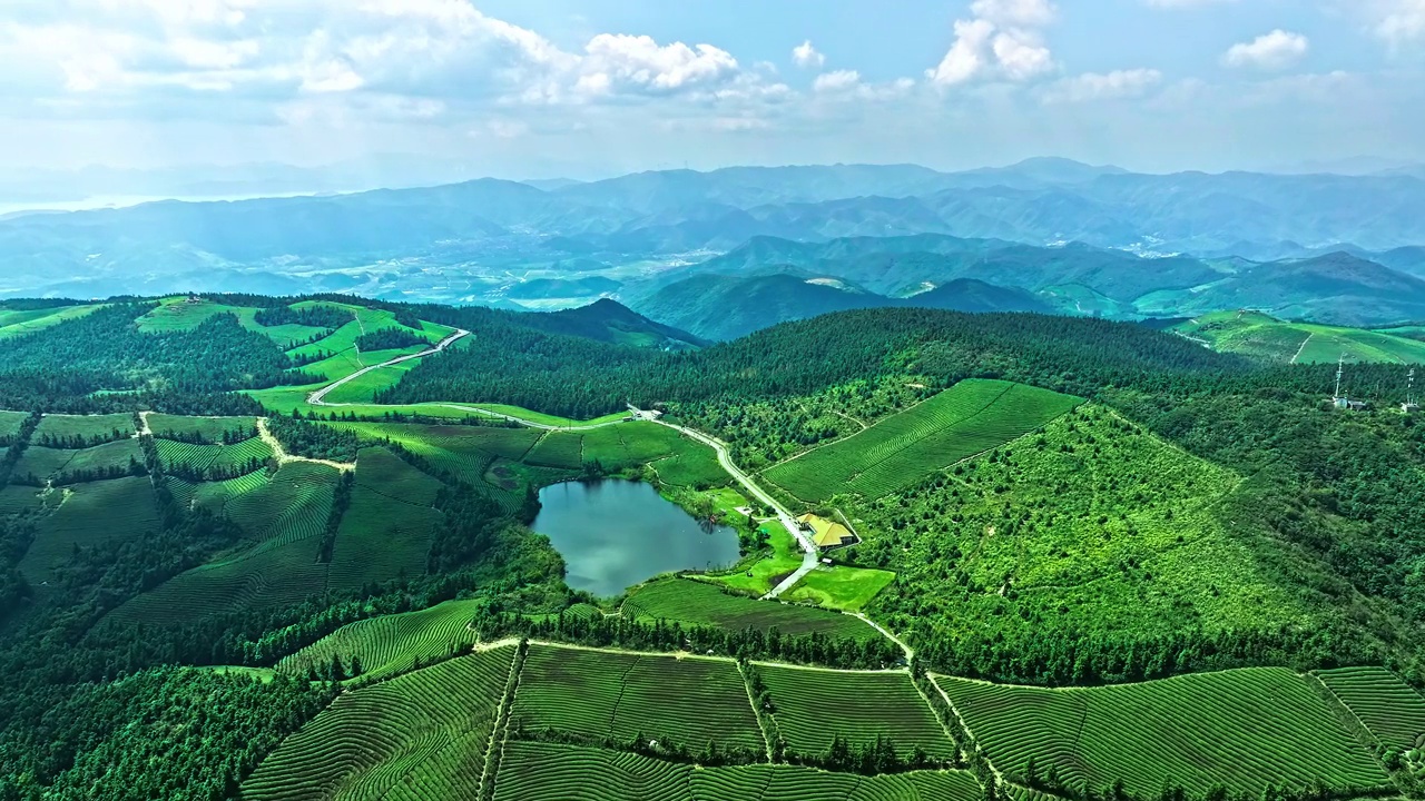 茶园和水库景观鸟瞰图视频素材