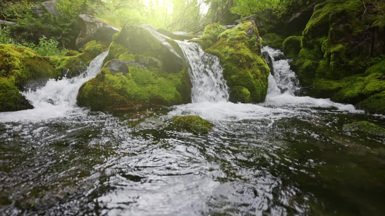 山间河流在森林中有瀑布。在长满青苔的石头间流淌着强大的水流。清晰的饮用水。万向架镜头，慢镜头视频素材