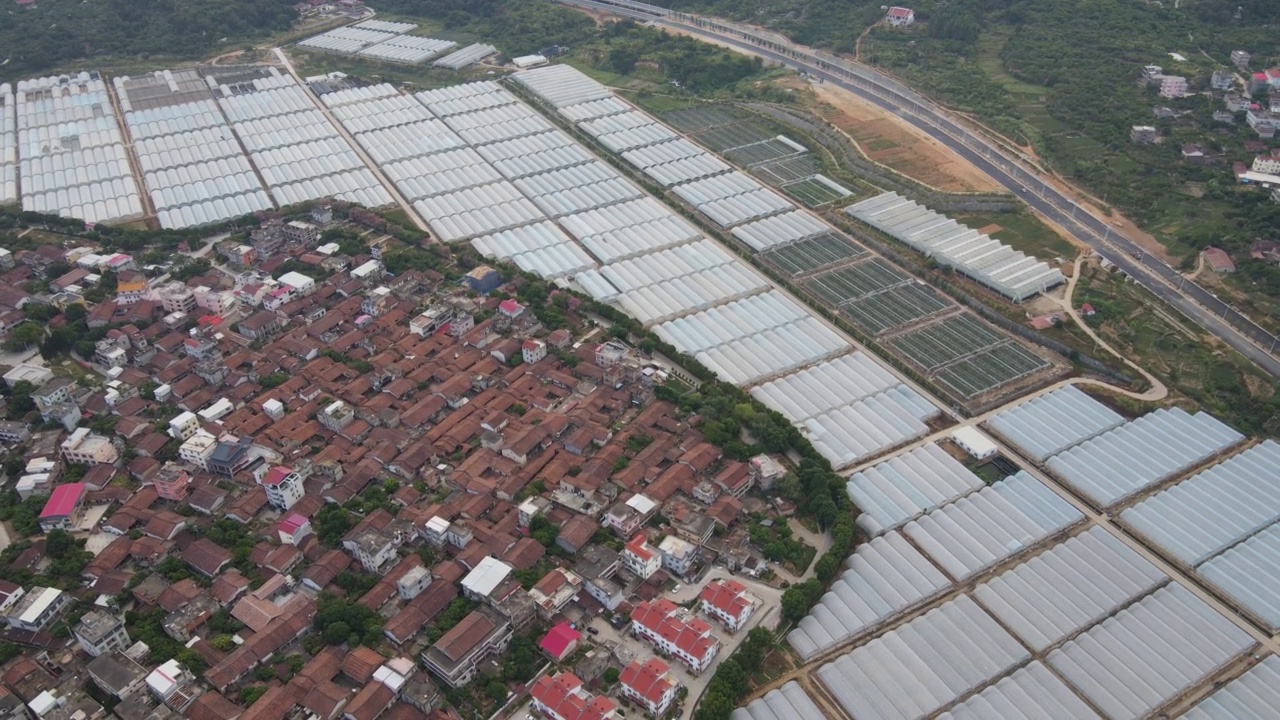 中国农村农业种植大棚鸟瞰图视频素材