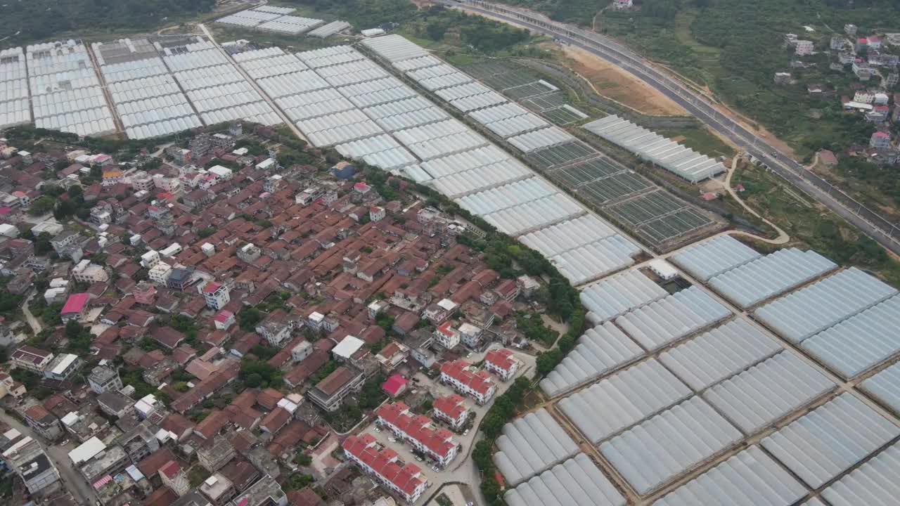 中国农村农业种植大棚鸟瞰图视频素材