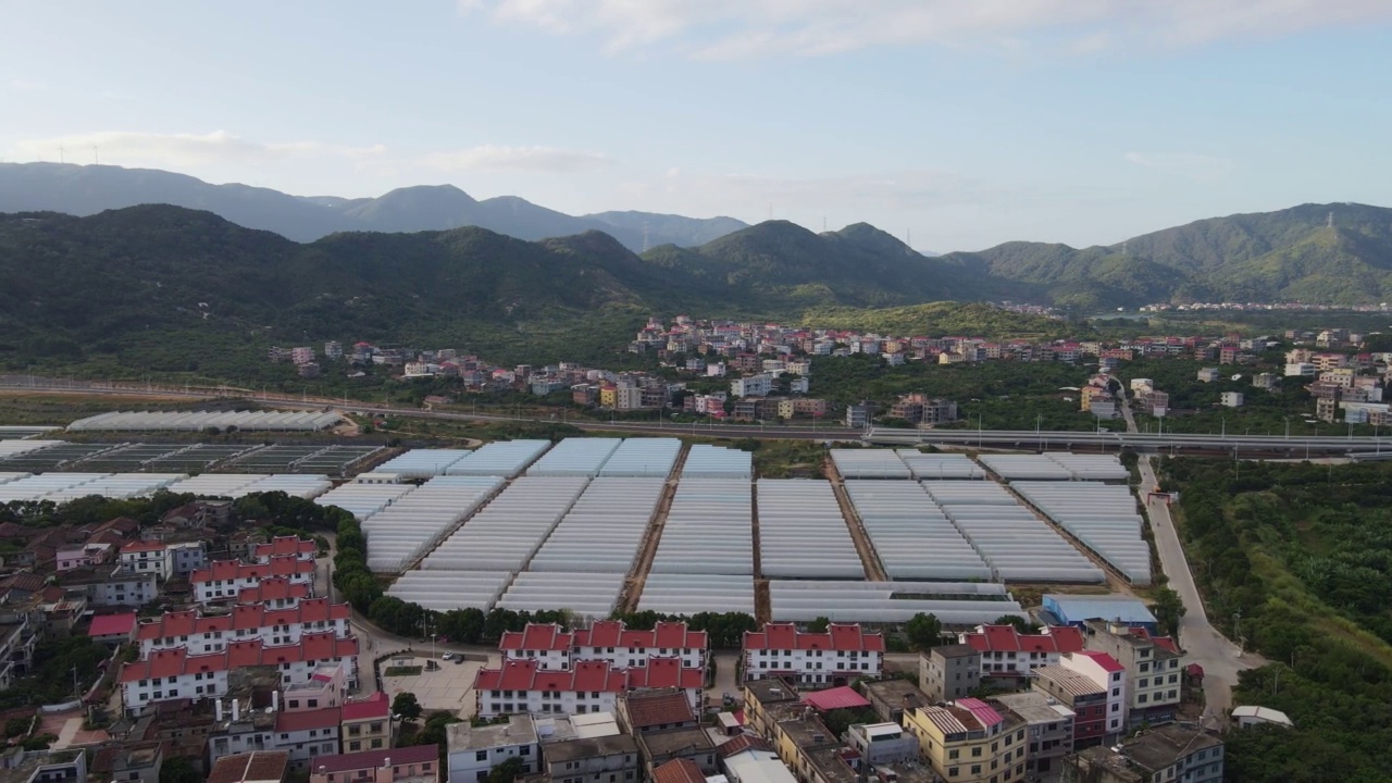 农业大棚和农村地区鸟瞰图视频素材