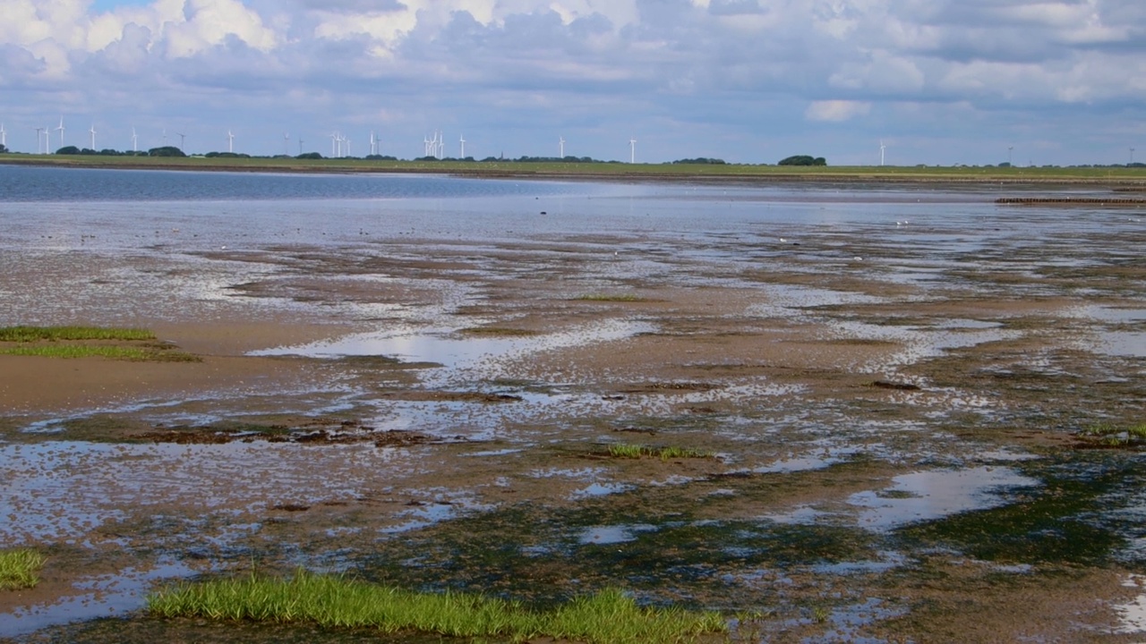 退潮时波涛汹涌的海面景观视频素材