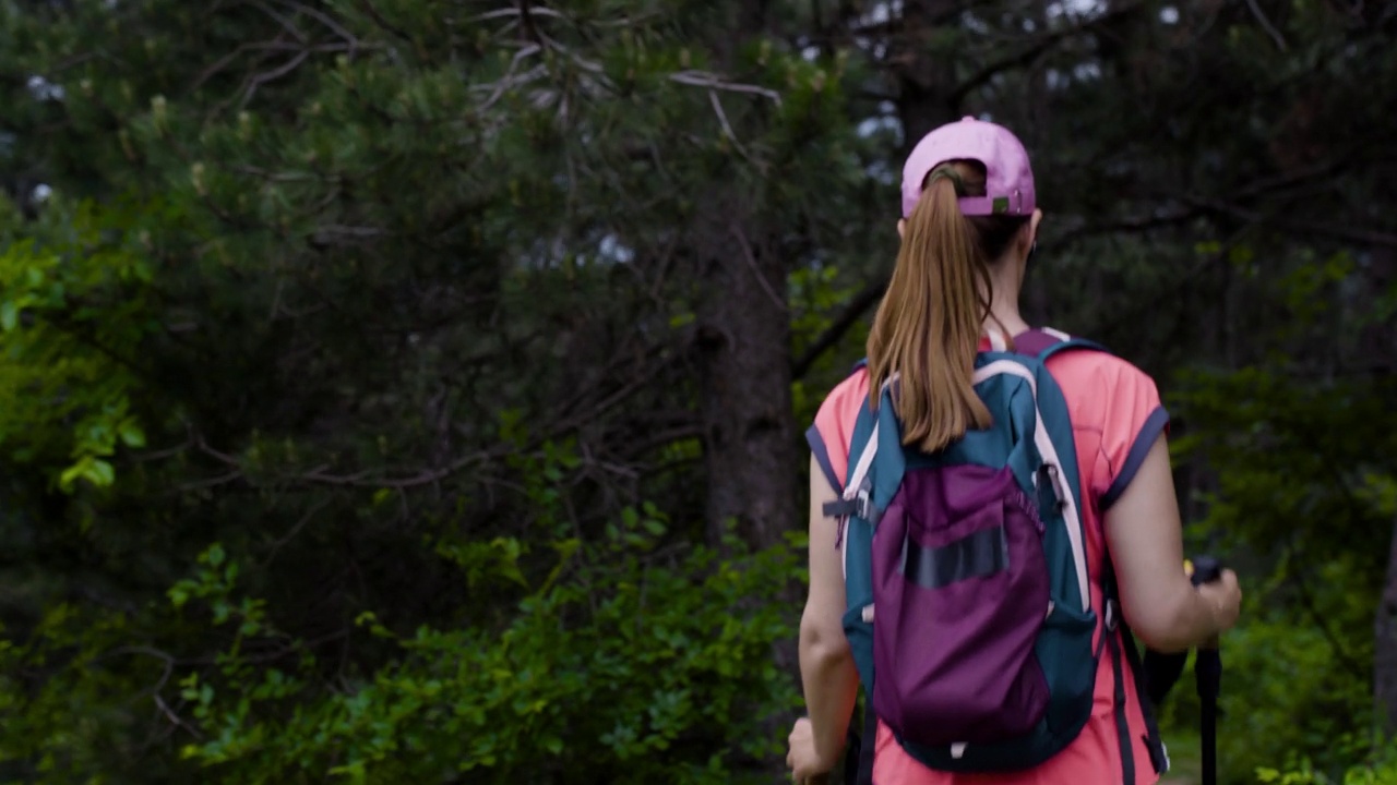 女孩在大自然中远足。背景背包客沿着森林里的小路下山。视频素材