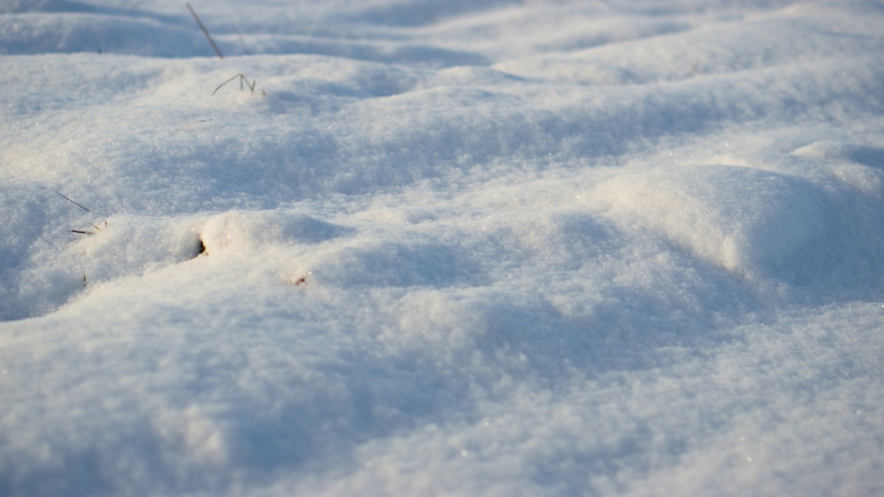 近景白雪皑皑地散落在天光之下。白雪覆盖的雪。视频素材