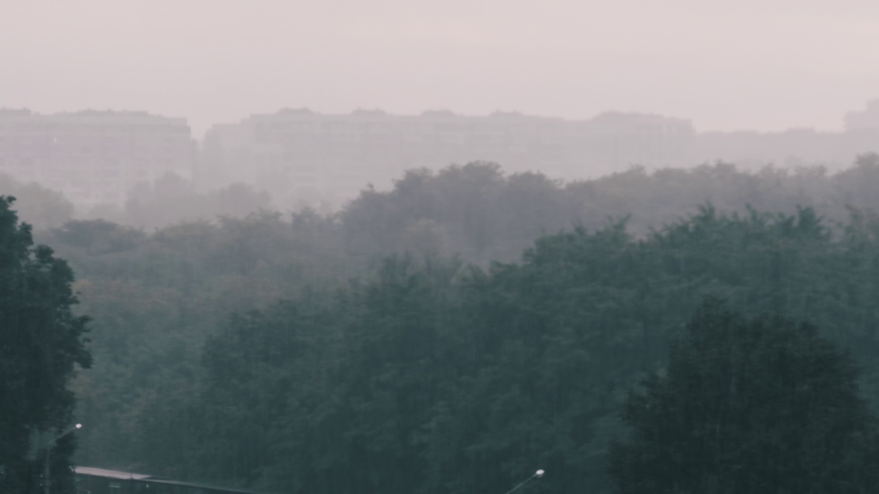 秋绿森林背景下的慢动作雷雨视频素材