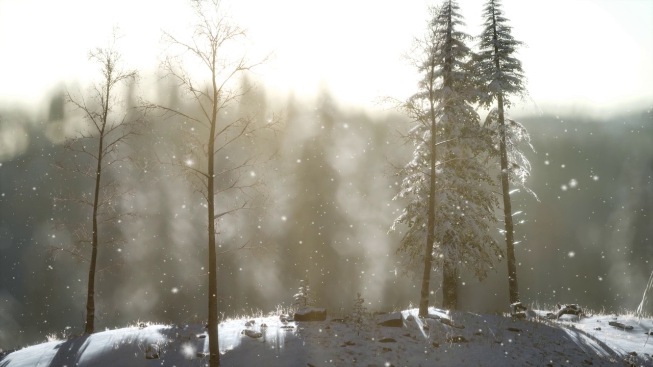 山林里壮观的圣诞景象。丰富多彩的冬季日出视频素材