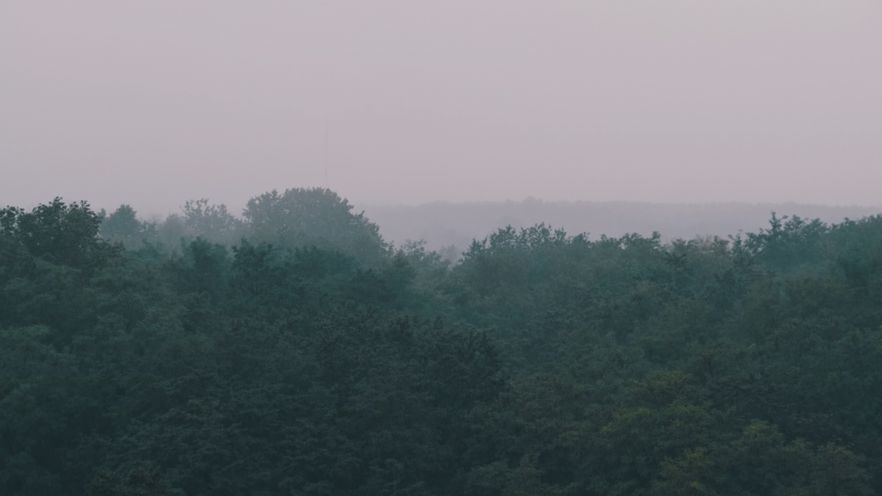 秋绿森林背景下的慢动作雷雨视频素材