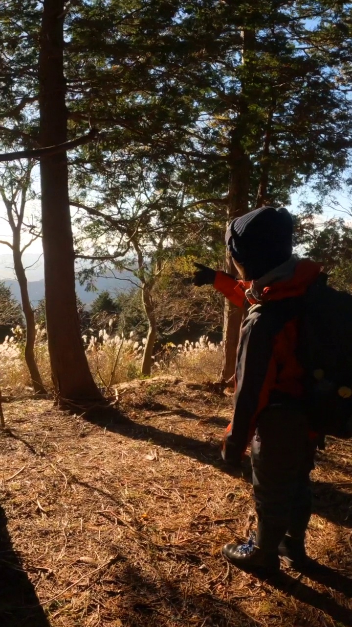 秋天在山林里徒步的女人视频素材