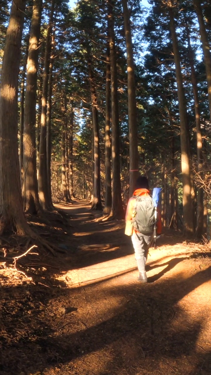 秋天在山林里徒步的女人视频素材