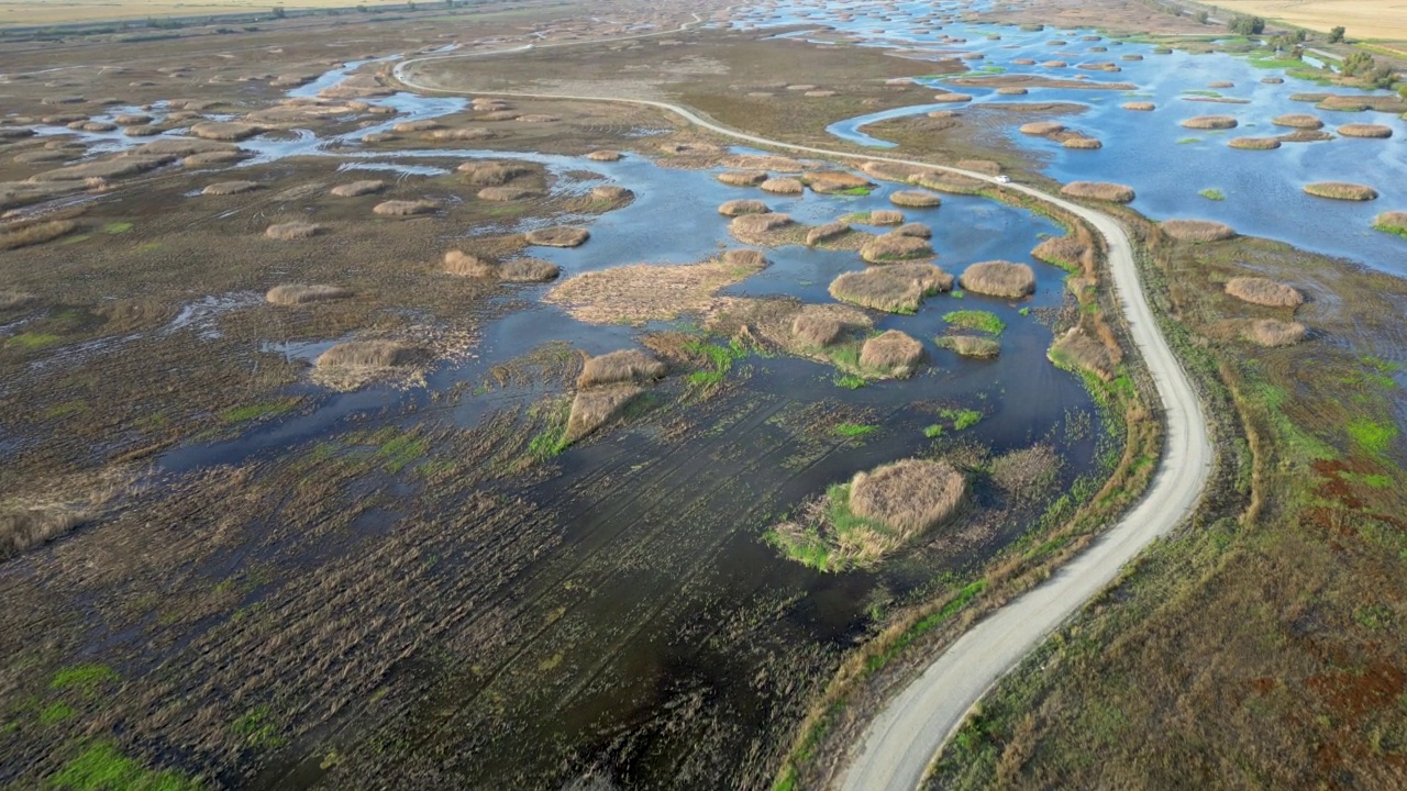 从上方穿过北加州野生动物保护区湿地的道路视频素材