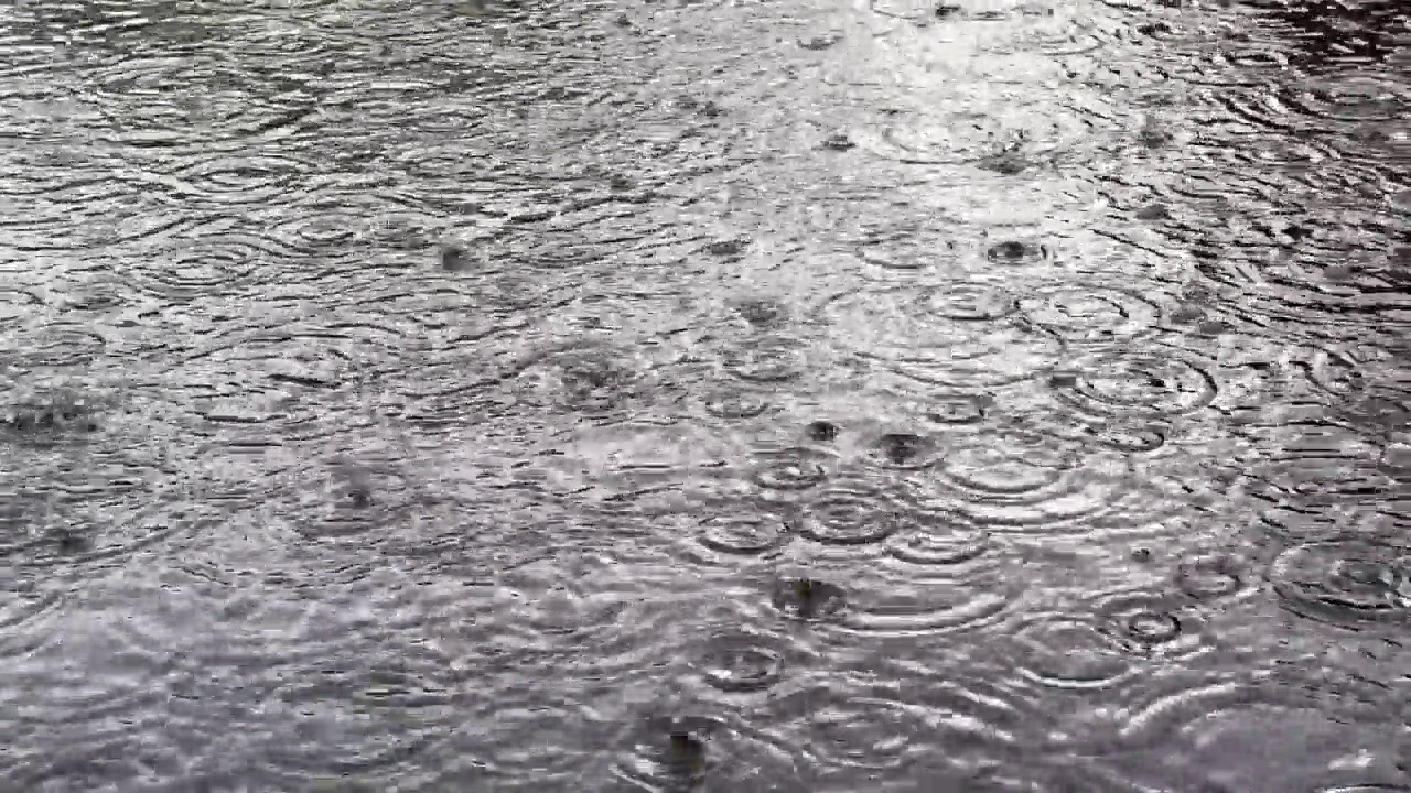 大雨落在大水坑的表面。视频素材