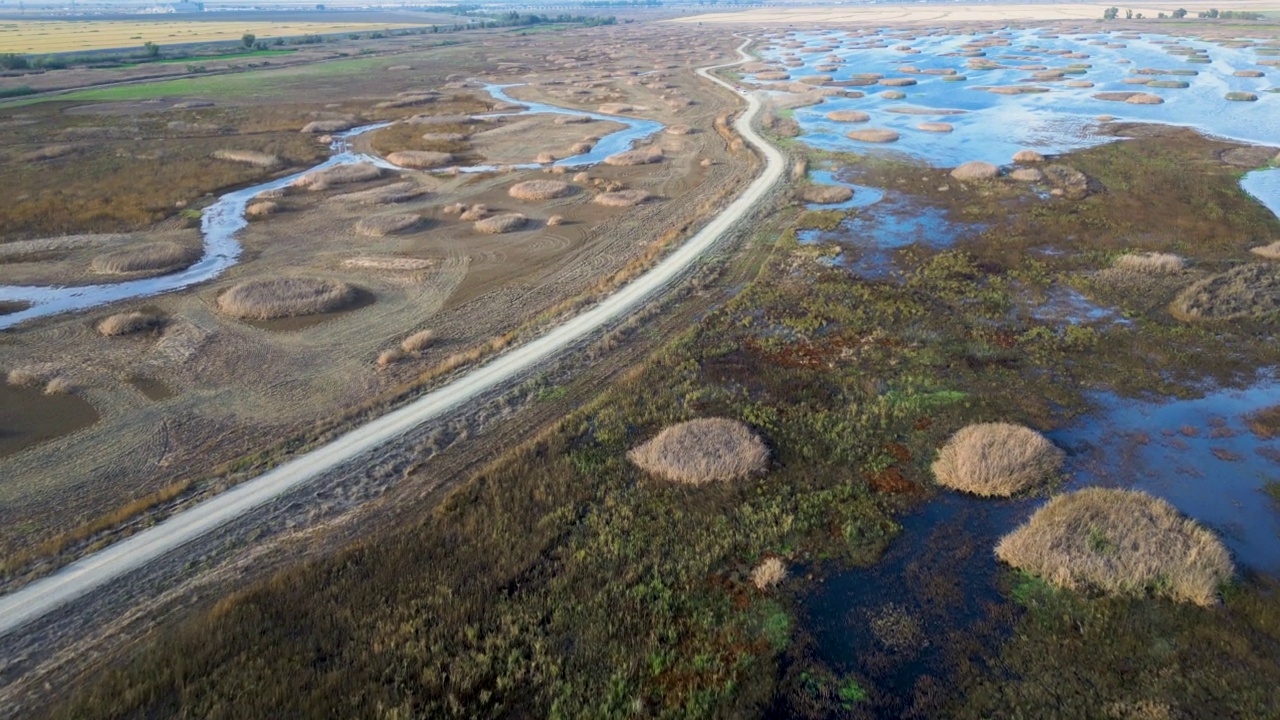 从上方穿过北加州野生动物保护区湿地的道路视频素材