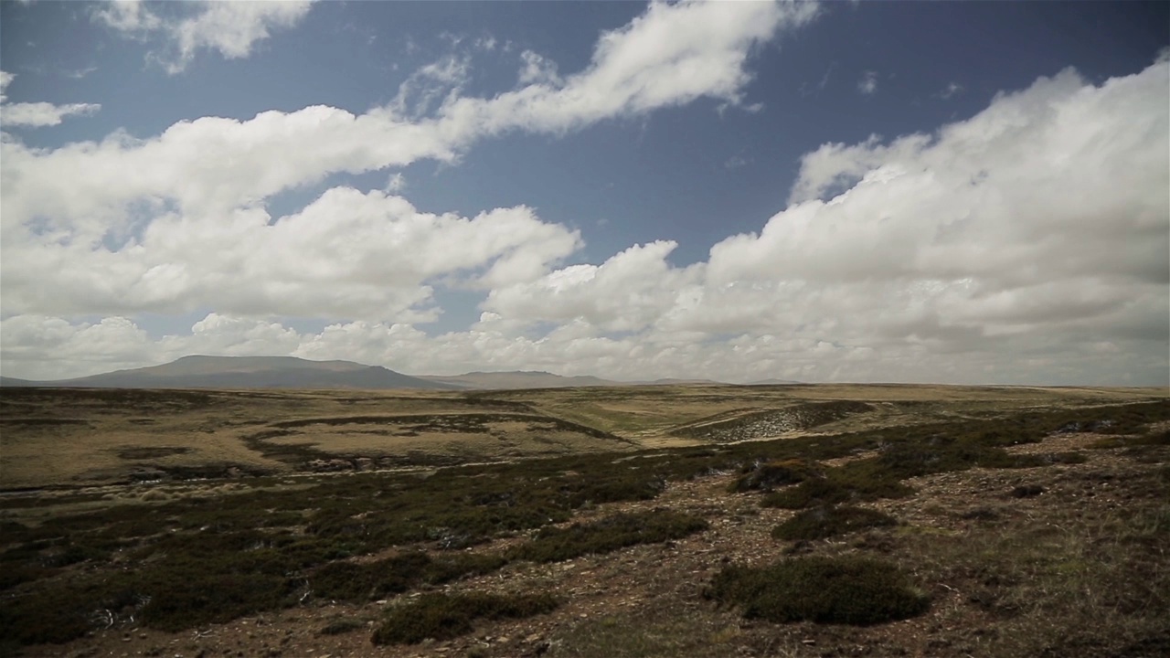 南大西洋福克兰群岛(Islas Malvinas)的东福克兰草地景观全景，1982年福克兰战争就发生在这里。视频素材