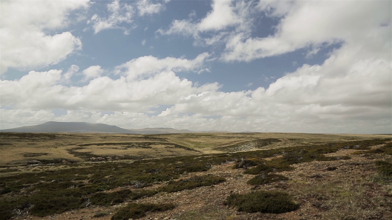 南大西洋福克兰群岛(Islas Malvinas)的东福克兰草地景观，1982年福克兰战争就发生在这里。视频素材