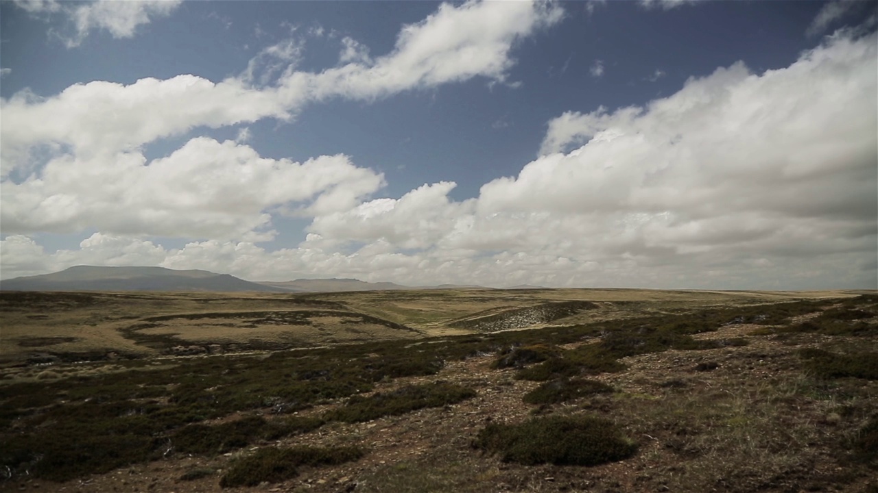 南大西洋福克兰群岛(Islas Malvinas)的东福克兰草地景观，1982年福克兰战争就发生在这里。视频素材