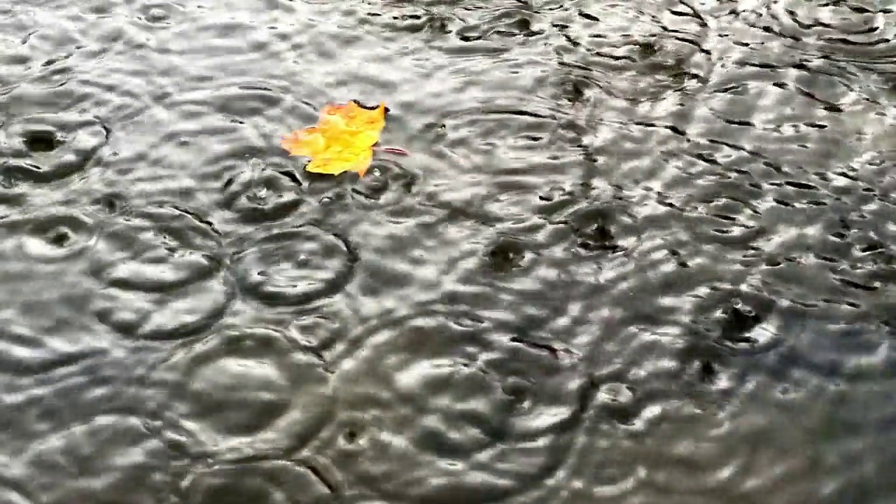 雨点落在灰色的水面上。视频素材