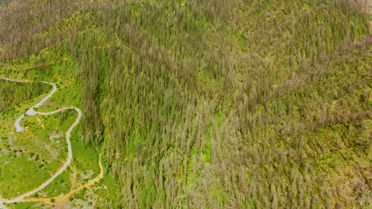 美国北加州一条山路上的高空天线视频素材