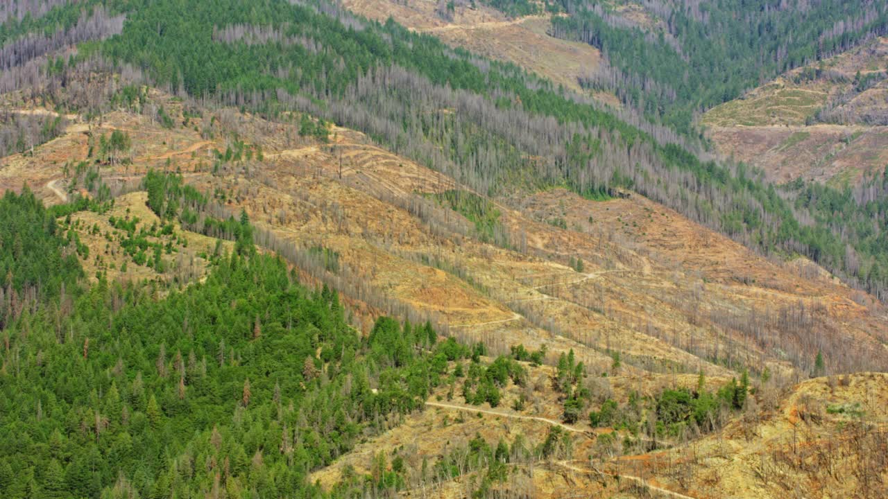 加利福尼亚北部的大片森林地区受到野火的影响视频素材