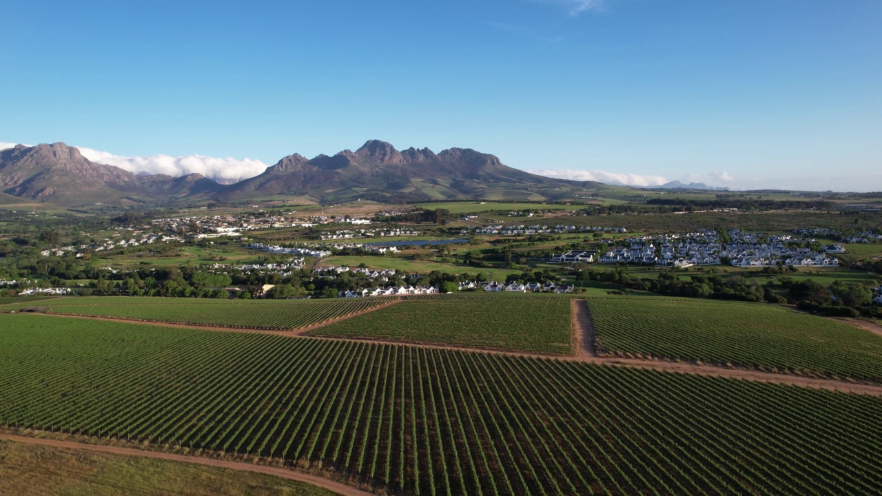 Stellenbosch葡萄园朝Helderberg山方向视频素材