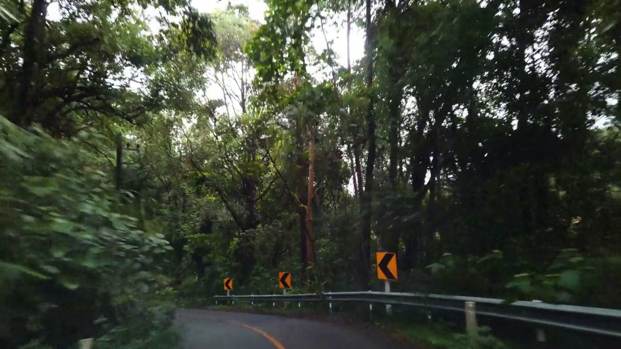 下雨天驾车穿过秋林视频素材