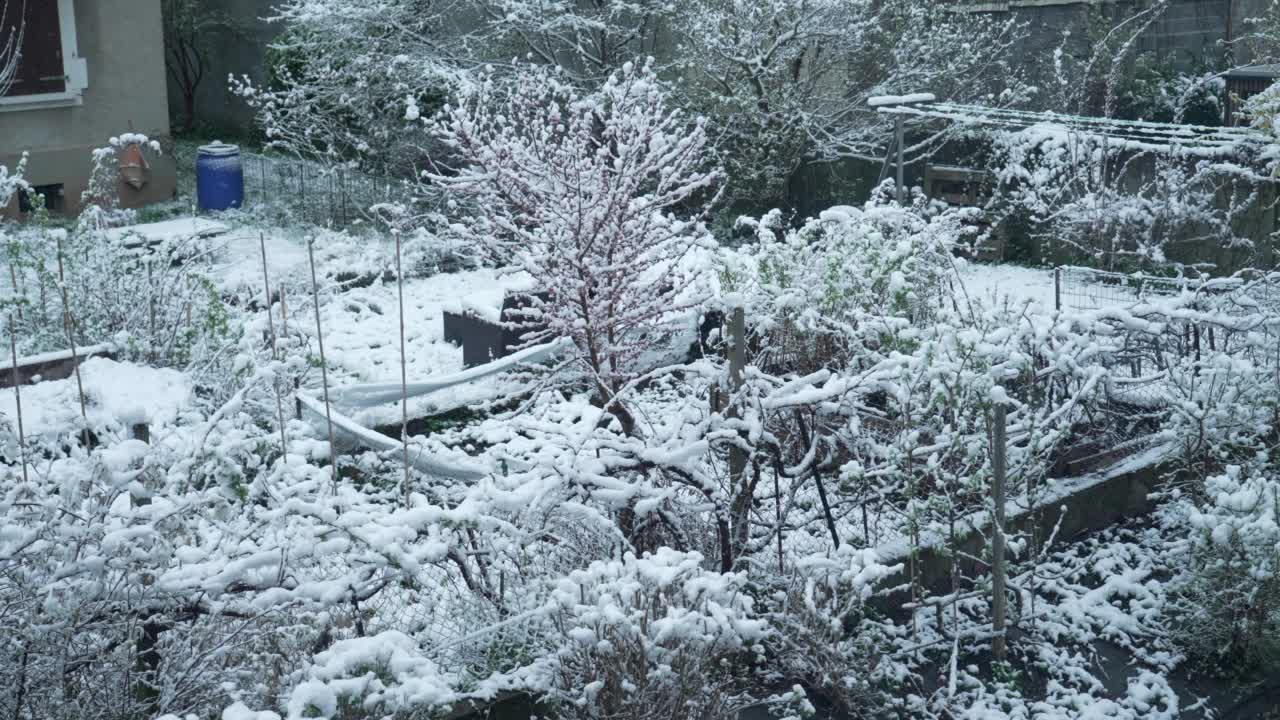 冬季，家里的后院被雪覆盖。雪景中的住宅外观视频素材