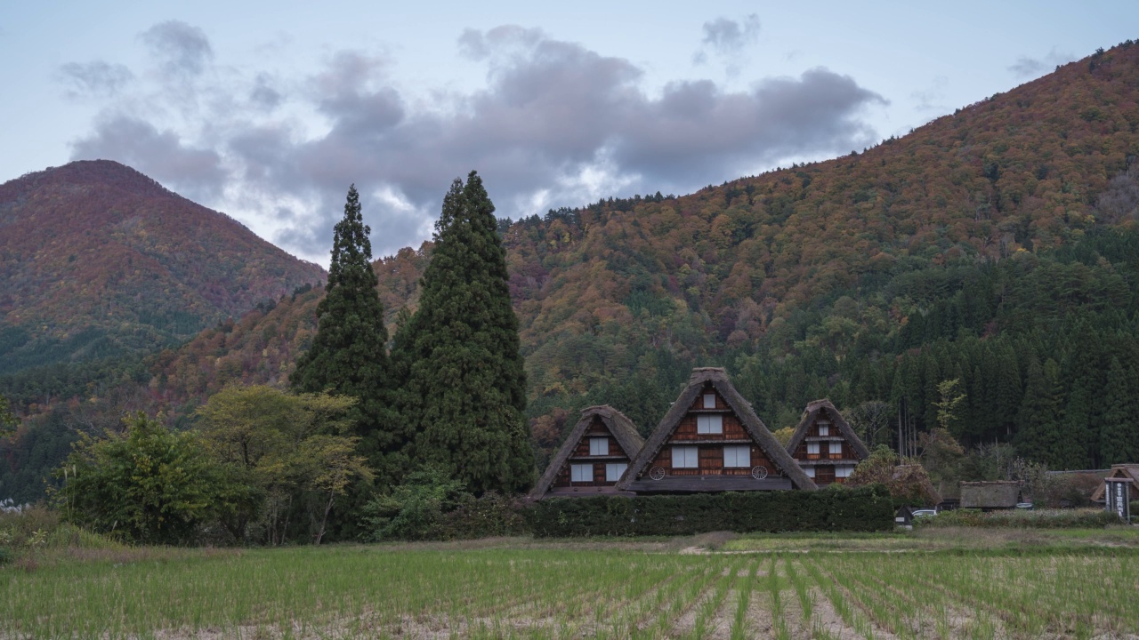 日本岐阜白川村的历史传统加修屋秋叶时间间隔4K视频素材