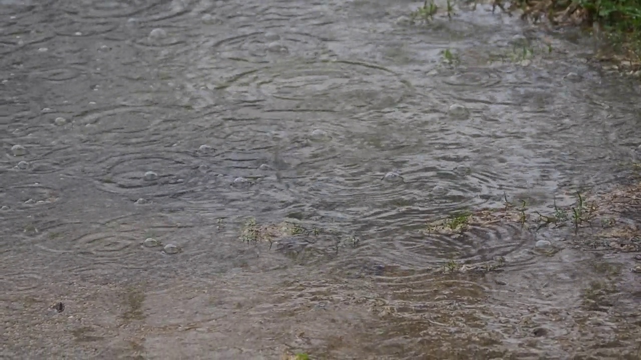 雨点在水坑里制造泡沫。秋天的概念。高质量全高清镜头视频素材